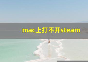 mac上打不开steam