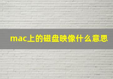 mac上的磁盘映像什么意思