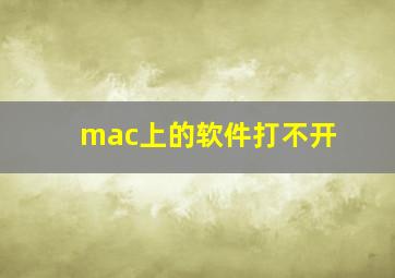 mac上的软件打不开