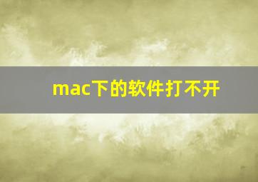 mac下的软件打不开