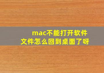 mac不能打开软件文件怎么回到桌面了呀