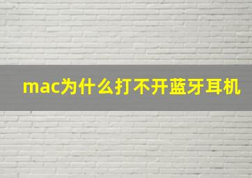 mac为什么打不开蓝牙耳机