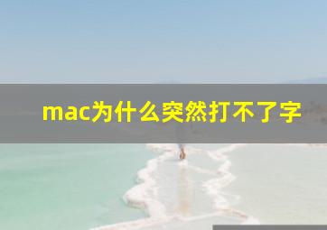 mac为什么突然打不了字