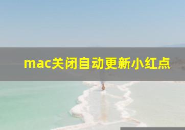 mac关闭自动更新小红点