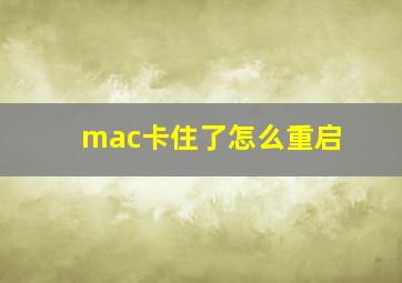 mac卡住了怎么重启