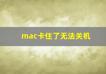 mac卡住了无法关机