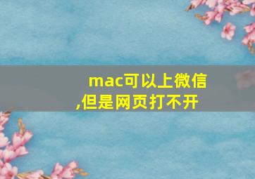 mac可以上微信,但是网页打不开