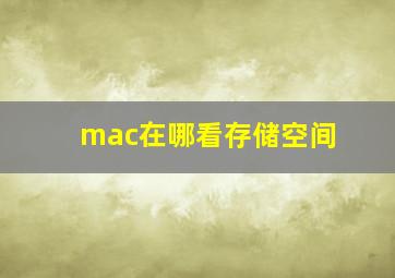 mac在哪看存储空间