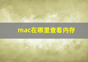 mac在哪里查看内存