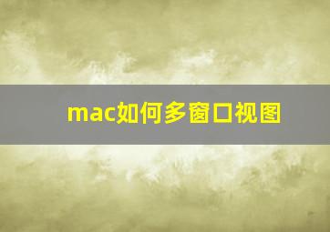 mac如何多窗口视图