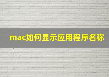 mac如何显示应用程序名称