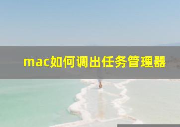 mac如何调出任务管理器