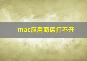 mac应用商店打不开