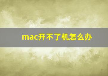 mac开不了机怎么办