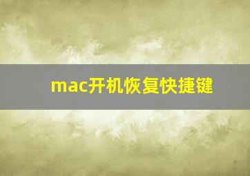 mac开机恢复快捷键