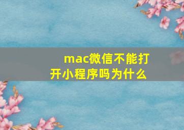 mac微信不能打开小程序吗为什么