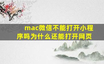 mac微信不能打开小程序吗为什么还能打开网页