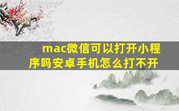 mac微信可以打开小程序吗安卓手机怎么打不开