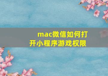 mac微信如何打开小程序游戏权限