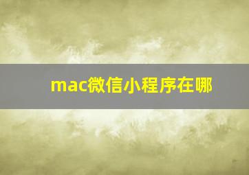 mac微信小程序在哪