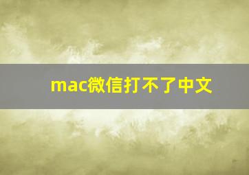 mac微信打不了中文