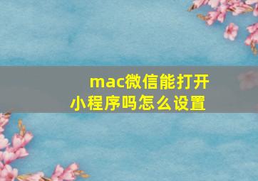 mac微信能打开小程序吗怎么设置