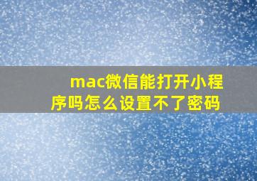 mac微信能打开小程序吗怎么设置不了密码