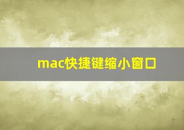 mac快捷键缩小窗口