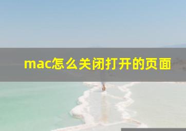 mac怎么关闭打开的页面