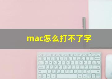 mac怎么打不了字