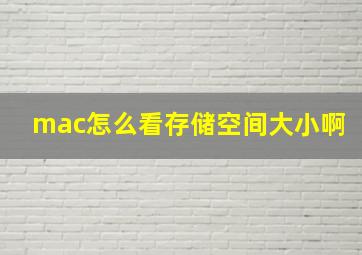 mac怎么看存储空间大小啊