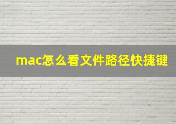 mac怎么看文件路径快捷键