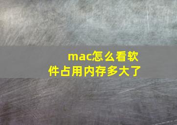 mac怎么看软件占用内存多大了