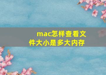 mac怎样查看文件大小是多大内存