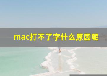 mac打不了字什么原因呢