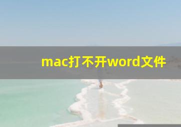 mac打不开word文件