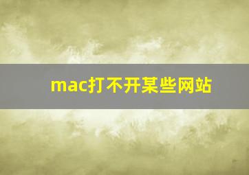 mac打不开某些网站