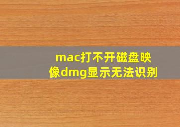 mac打不开磁盘映像dmg显示无法识别