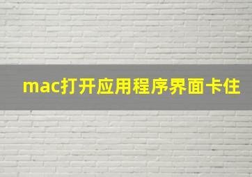 mac打开应用程序界面卡住