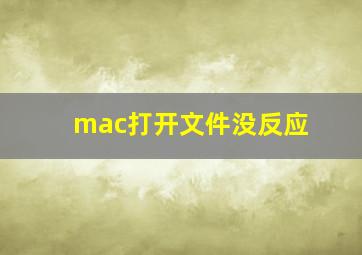 mac打开文件没反应