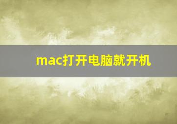 mac打开电脑就开机