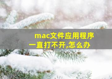 mac文件应用程序一直打不开,怎么办