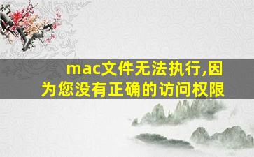 mac文件无法执行,因为您没有正确的访问权限