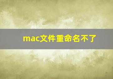 mac文件重命名不了