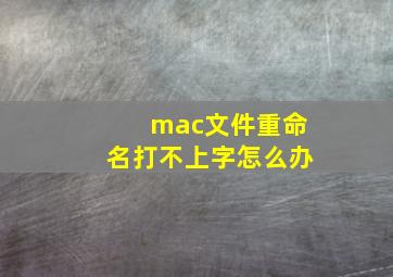 mac文件重命名打不上字怎么办