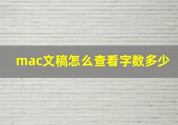 mac文稿怎么查看字数多少