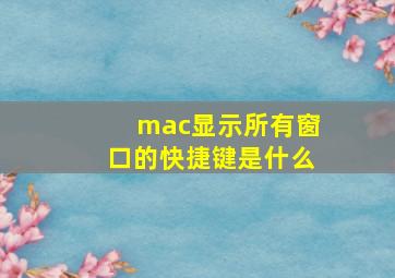 mac显示所有窗口的快捷键是什么