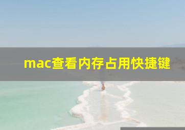 mac查看内存占用快捷键