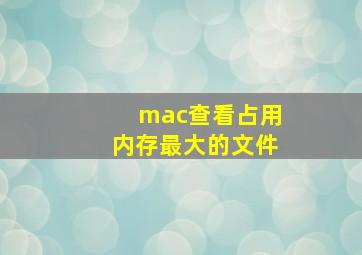 mac查看占用内存最大的文件