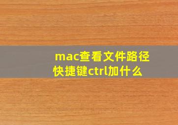 mac查看文件路径快捷键ctrl加什么